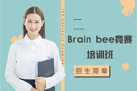 北京Brainbee竞赛培训班