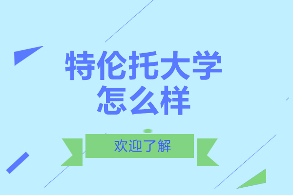 意大利特伦托大学深度解读：从学术实力到课程选择的全方位指南