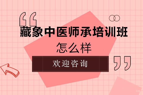 西安藏象中医师承培训班怎么样
