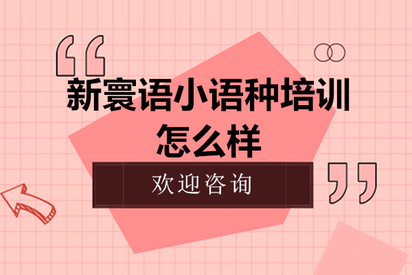 石家庄新寰语小语种培训怎么样