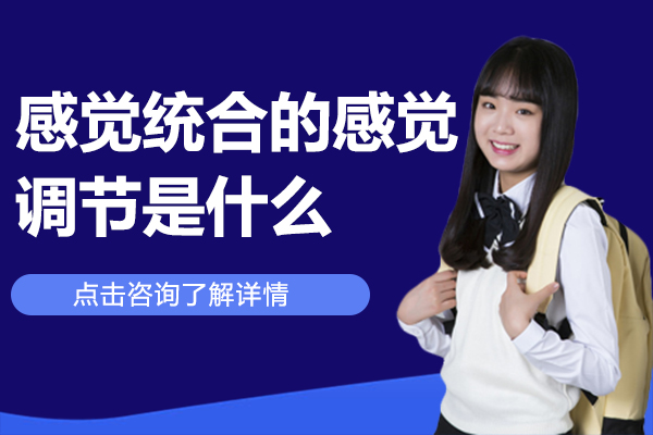 感觉统合的感觉调节是什么
