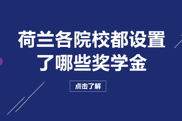 荷兰主流高校奖学金全解析：覆盖阿姆斯特丹大学、代尔夫特理工等多校类型