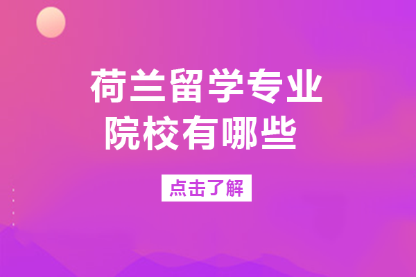长沙学子荷兰留学必看：五大热门专业与高适配院校全解析