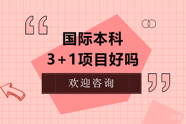 广东财经大学国际本科3+1项目好吗