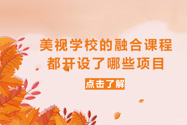 成都美视学校的融合课程都开设了哪些项目