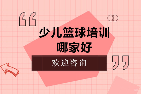 广州少儿篮球培训哪家好