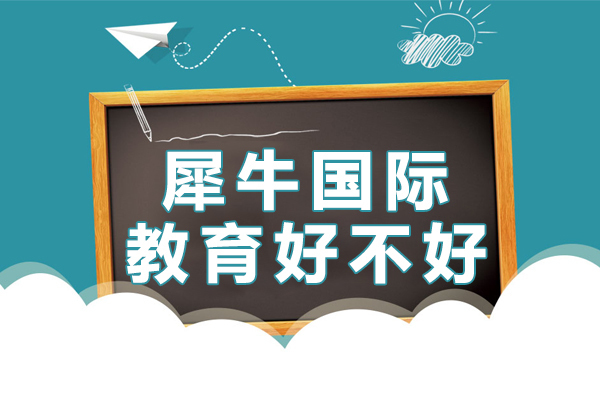 上海犀牛国际教育好不好
