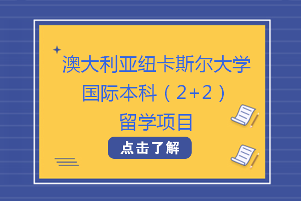 澳大利亚纽卡斯尔大学2+2国际本科项目深度解析：从衔接培养到全球发展的全路径指南