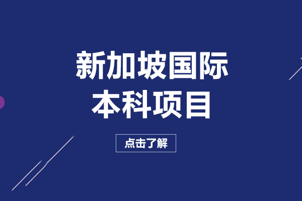 成都新加坡国际本科1+2项目全解析：优势、课程与升学路径详解