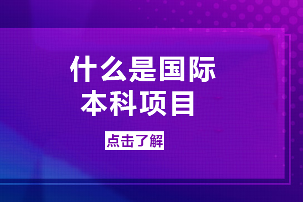 成都国际本科项目深度解析：从概念到学制的全面指南