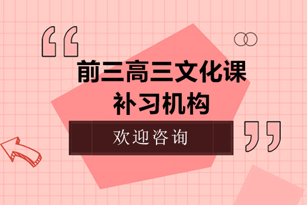 广州前三高三文化课补习机构