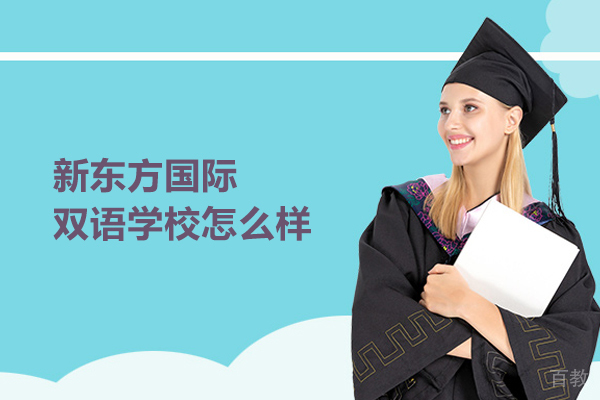 北京新东方国际双语学校怎么样