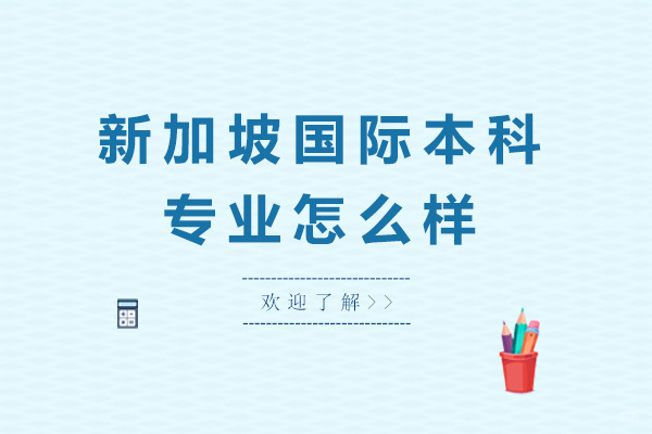 新加坡国际本科专业怎么样