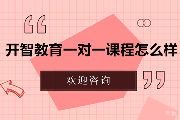 贵阳开智教育的一对一课程怎么样