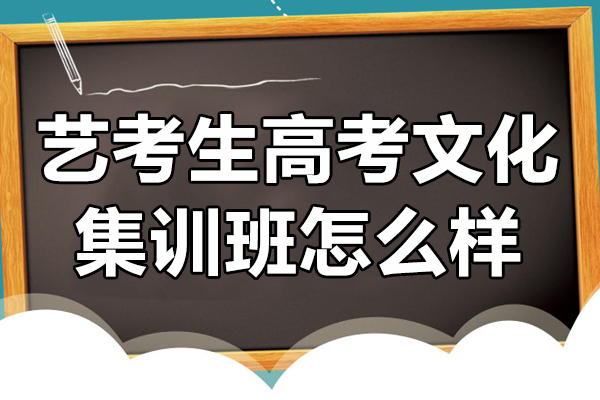 艺考生高考文化集训班怎么样