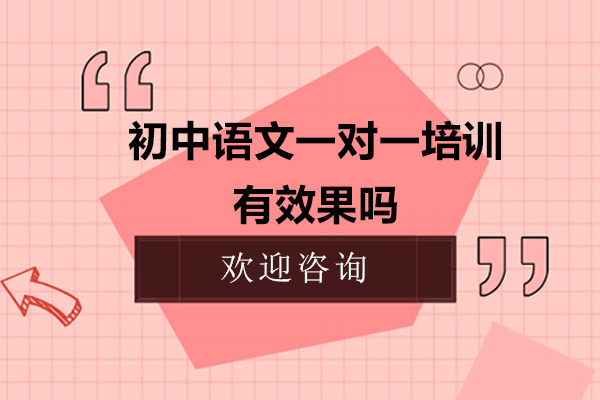 初中语文一对一培训有效果吗