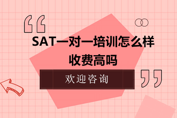 SAT一对一培训怎么样-收费高吗