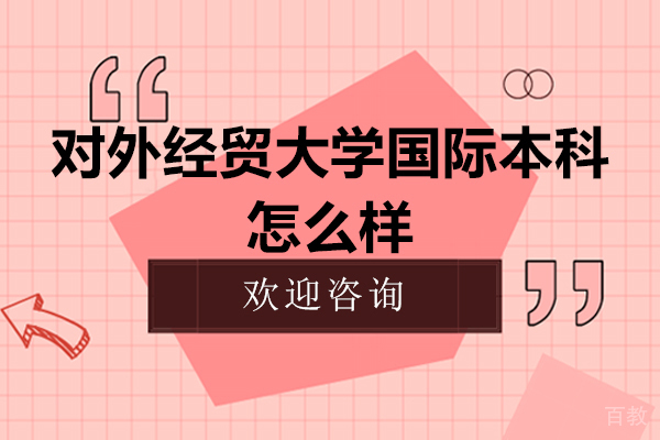 对外经贸大学国际本科怎么样