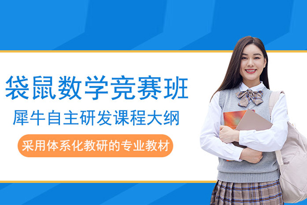 北京袋鼠数学竞赛培训班-数学袋鼠竞赛课程