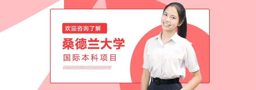 中外合作办学项目