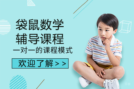 上海袋鼠数学辅导课程