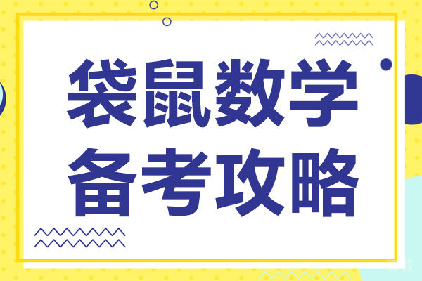 袋鼠数学备考攻略
