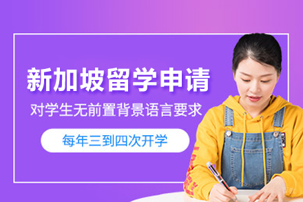 北京新加坡留学申请项目