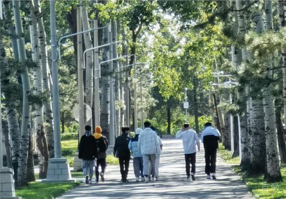学校环境图片