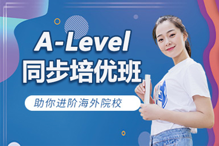 北京A-levelA-Level同步培优班