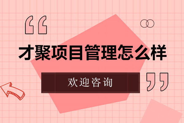 南京才聚项目管理怎么样