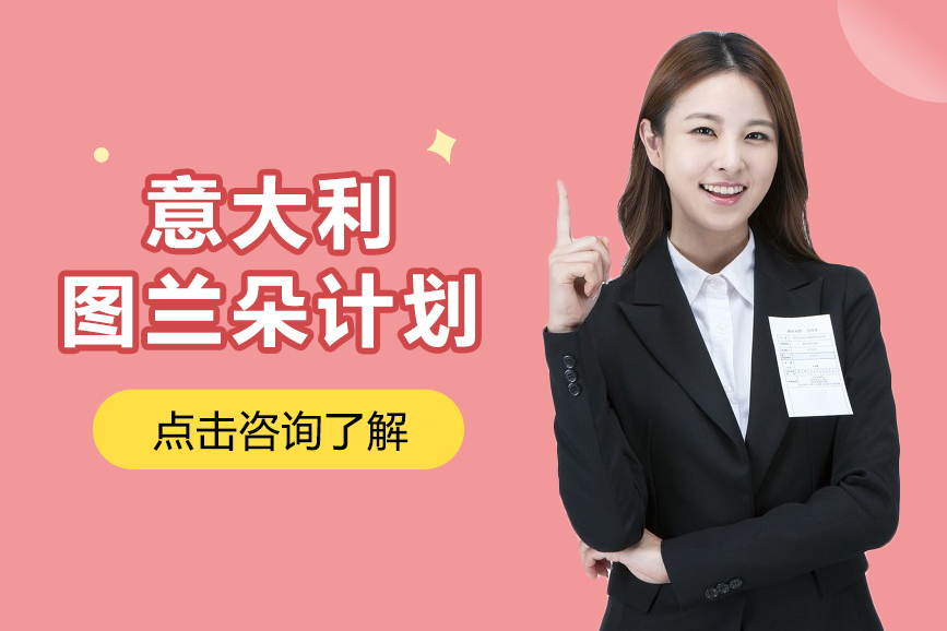 意大利图兰朵计划