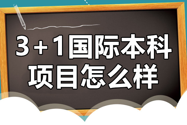 3+1国际本科项目怎么样