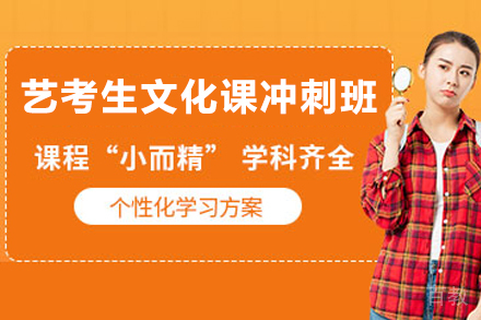 南京艺考生文化课冲刺班