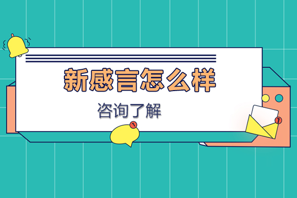 石家庄新感言怎么样