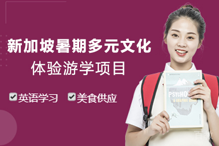 新加坡暑期定制ESL英语课程+多元文化体验游学项目