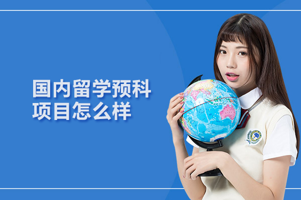 武汉国内留学预科项目怎么样