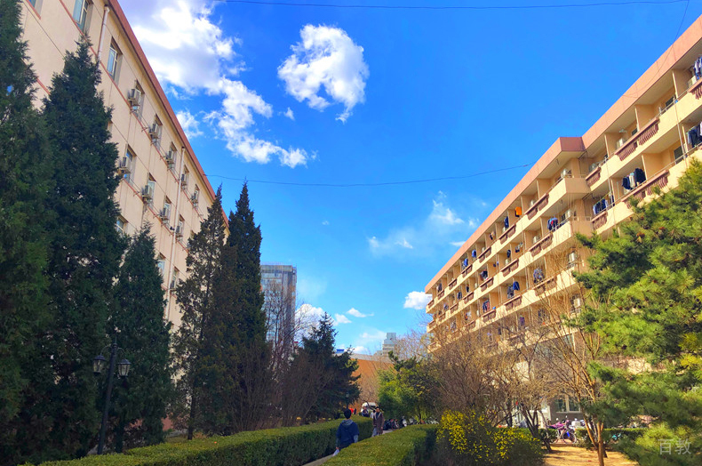 学校宿舍楼