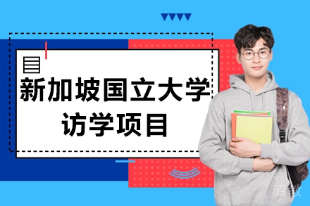 新加坡国立大学领导力官方课程+名企参访游学项目