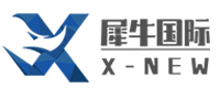 武汉犀牛国际教育