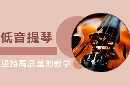 上海职业技能低音提琴培训课程