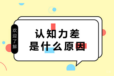 成都认知力差是什么原因