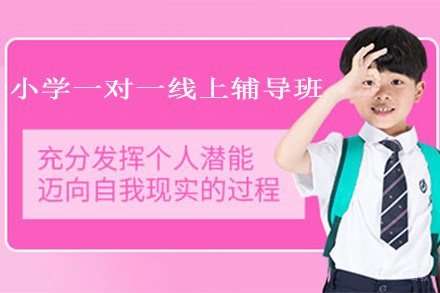 北京小学一对一线上辅导班