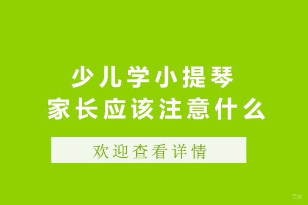 上海少儿学小提琴家长应该注意什么