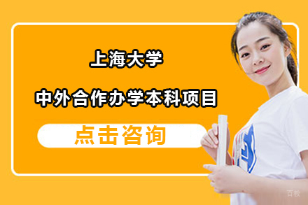 北京上海大学中外合作办学本科项目
