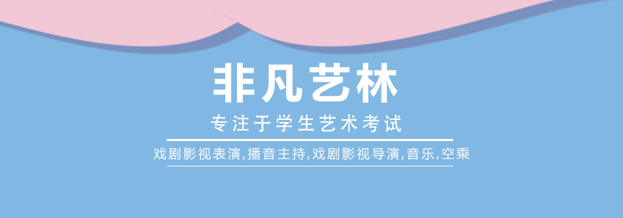 艺术教育指导