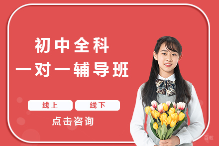 北京初中全科一对一辅导班
