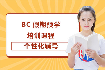 广州BC假期预学培训课程
