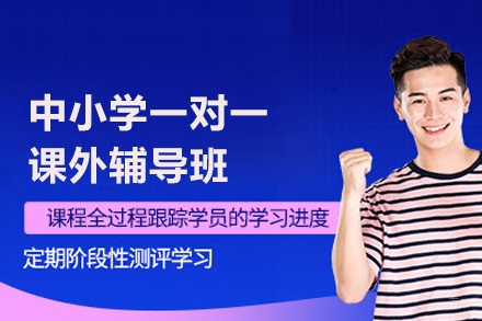 北京中小学一对一辅导班