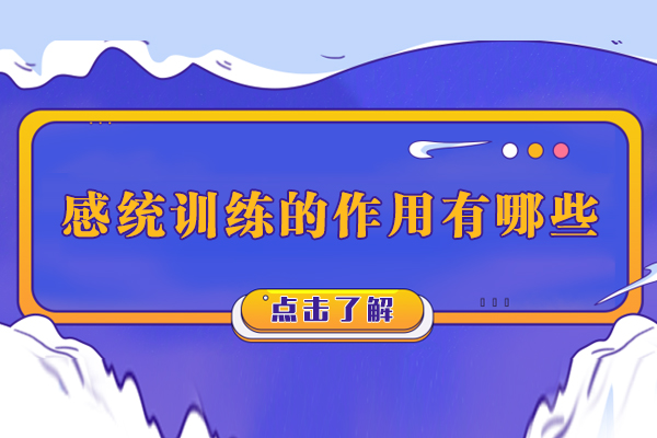 感统训练的作用有哪些