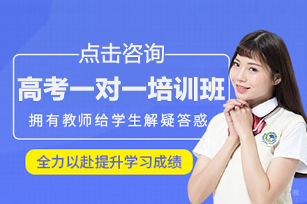 北京高考一对一培训班